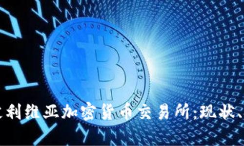 全面解析玻利维亚加密货币交易所：现状、挑战与未来