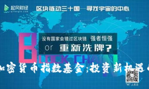 中国十大加密货币指数基金：投资新机遇的全面解析