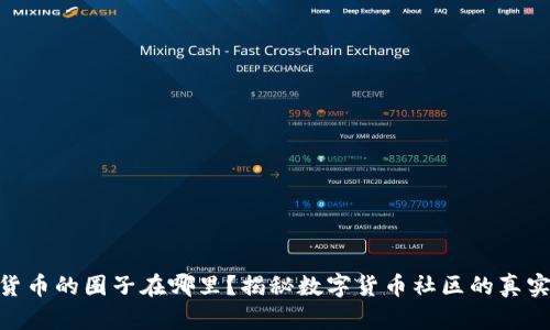 加密货币的圈子在哪里？揭秘数字货币社区的真实面貌