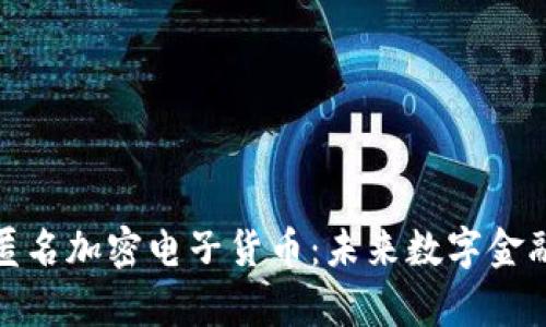 全面解析匿名加密电子货币：未来数字金融的新选择