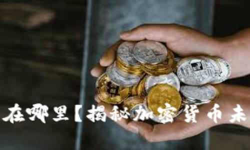 加密货币在哪里？揭秘加密货币未来的去向