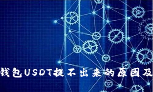 Tokenim钱包USDT提不出来的原因及解决方案