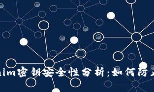 Tokenim密钥安全性分析：如何防止被盗