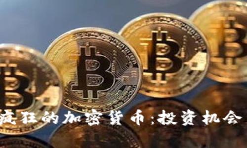 2023年最疯狂的加密货币：投资机会与风险分析