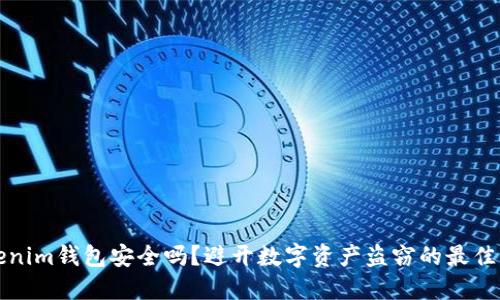 Tokenim钱包安全吗？避开数字资产盗窃的最佳实践