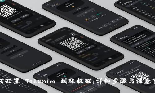 如何配置 Tokenim 到账提醒：详细步骤与注意事项