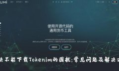 解决不能下载Tokenim的困扰：常见问题及解决方案