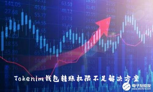 Tokenim钱包转账权限不足解决方案