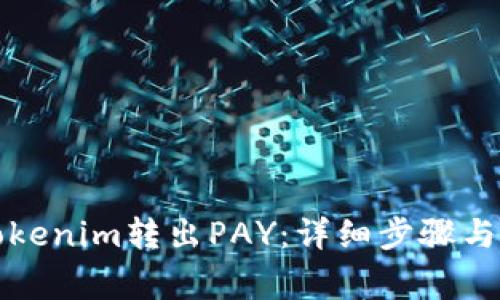 如何从Tokenim转出PAY：详细步骤与注意事项