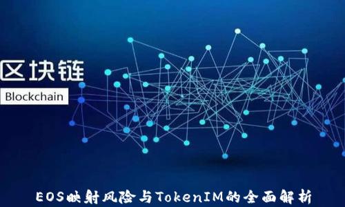 
EOS映射风险与TokenIM的全面解析