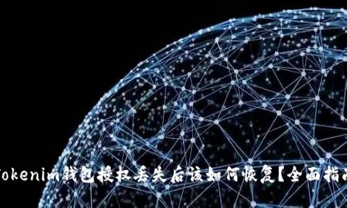 Tokenim钱包授权丢失后该如何恢复？全面指南