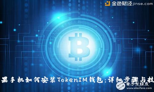 苹果手机如何安装TokenIM钱包：详细步骤与技巧