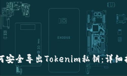 如何安全导出Tokenim私钥：详细指南