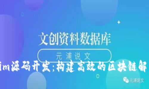 tokenim源码开发：构建高效的区块链解决方案