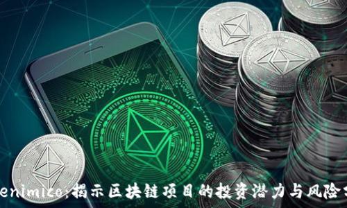   
Tokenimico：揭示区块链项目的投资潜力与风险分析