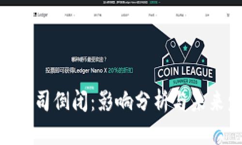 Tokenim公司倒闭：影响分析与未来发展展望