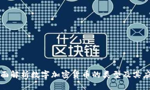 全面解析数字加密货币的类型及其应用