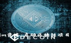 全面解析Tokenim资本：启动区块链项目的理想合作