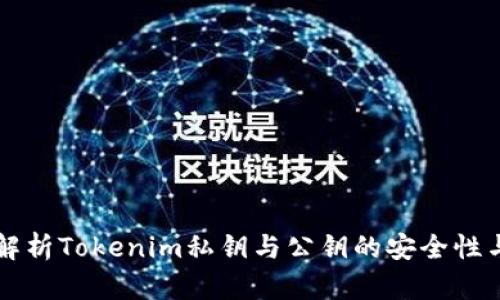 深入解析Tokenim私钥与公钥的安全性与应用