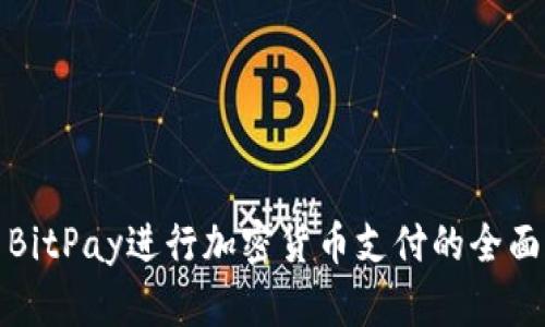 使用BitPay进行加密货币支付的全面指南