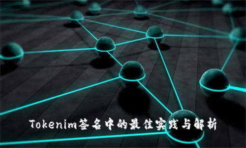 Tokenim签名中的最佳实践与解析