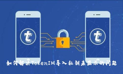 如何解决TokenIM导入私钥未显示的问题