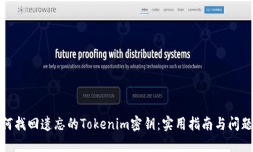 : 如何找回遗忘的Tokenim密钥：实用指南与问题解答