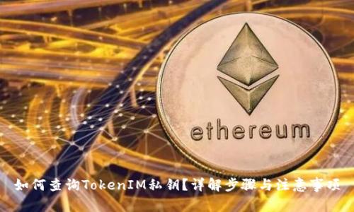 如何查询TokenIM私钥？详解步骤与注意事项