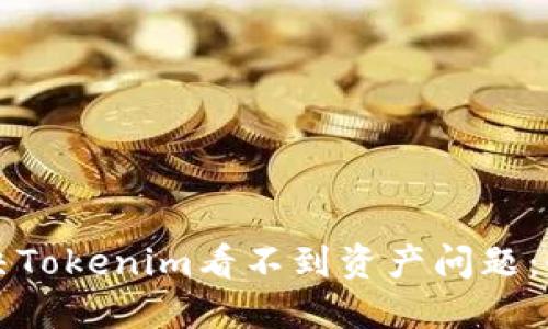 如何解决Tokenim看不到资产问题：全面指南