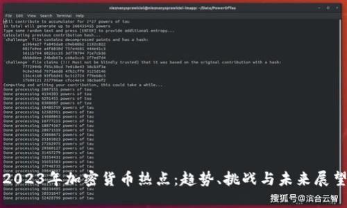 2023年加密货币热点：趋势、挑战与未来展望
