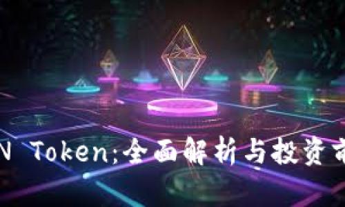 RVN Token：全面解析与投资前景