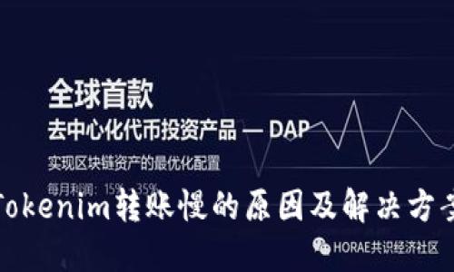 Tokenim转账慢的原因及解决方案