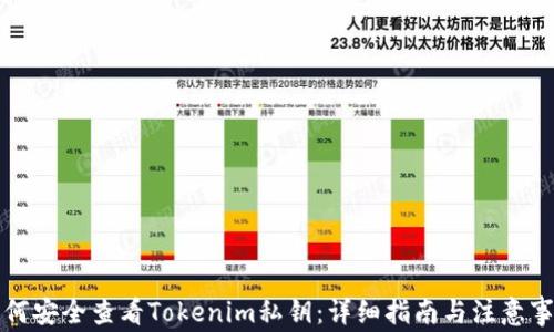 
如何安全查看Tokenim私钥：详细指南与注意事项