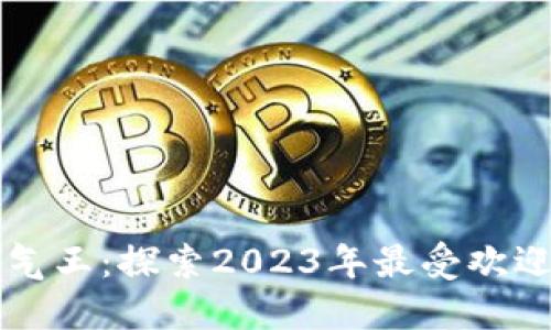 加密货币人气王：探索2023年最受欢迎的数字货币