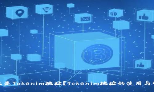 什么是Tokenim地址？Tokenim地址的使用与管理