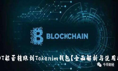 USDT能否转账到Tokenim钱包？全面解析与使用指南