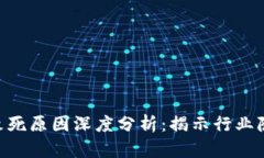 Tokenim公司致死原因深度分析：揭示行业隐患与风