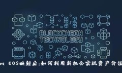 Tokenim EOS映射后：如何利用新机会实现资产价值最