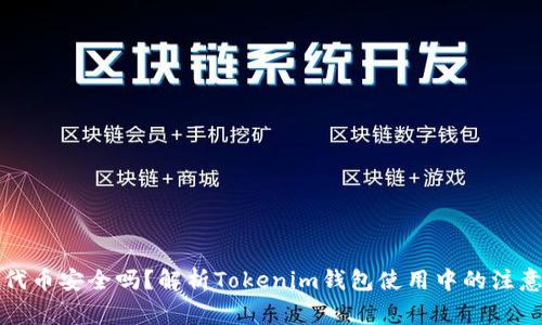 风险代币安全吗？解析Tokenim钱包使用中的注意事项