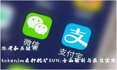 思考和关键词

tokenim质押挖矿SUN：全面解析与最佳实践