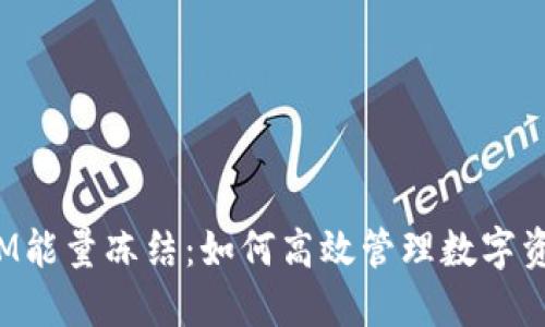 : TokenIM能量冻结：如何高效管理数字资产的价值