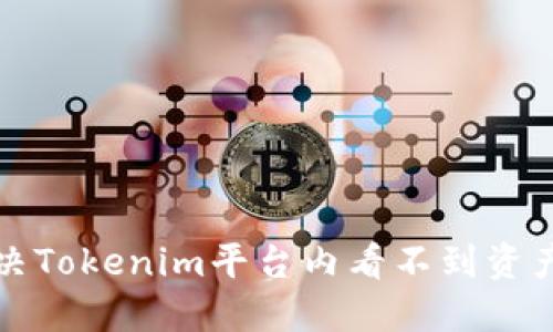 如何解决Tokenim平台内看不到资产的问题