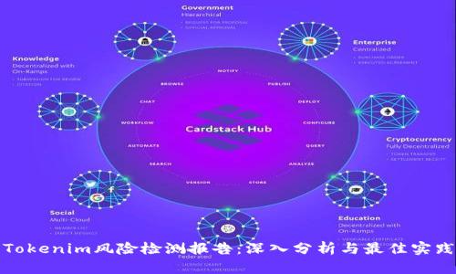 Tokenim风险检测报告：深入分析与最佳实践