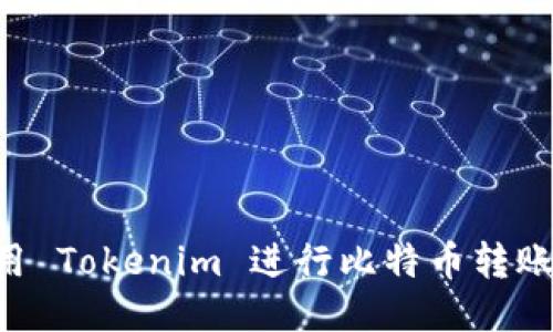 如何高效使用 Tokenim 进行比特币转账：全方位指南