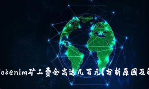 为什么Tokenim矿工费会高达几百元？分析原因及解决方案