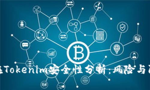 把币放在Tokenim安全性分析：风险与防范措施