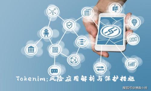 Tokenim：风险应用解析与保护措施