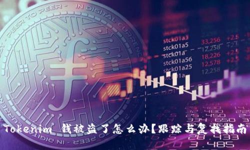 Tokenim 钱被盗了怎么办？跟踪与复找指南