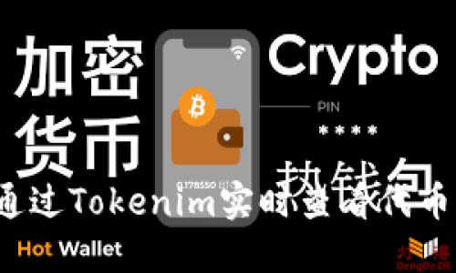 如何通过Tokenim实时查看代币价格？