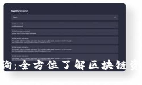 Tokenim查询：全方位了解区块链资产管理工具